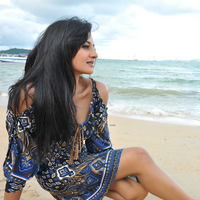 Vimala Raman Hot Pictures | Picture 51188